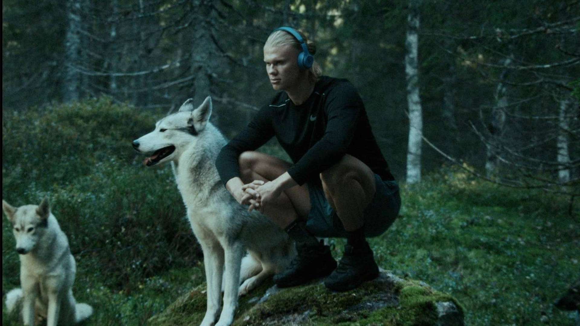 等关键词被 等关键词被