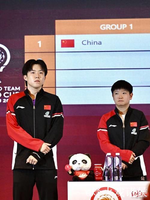 乒乓球混合团体世界杯阵容公布 王楚钦孙颖莎领军